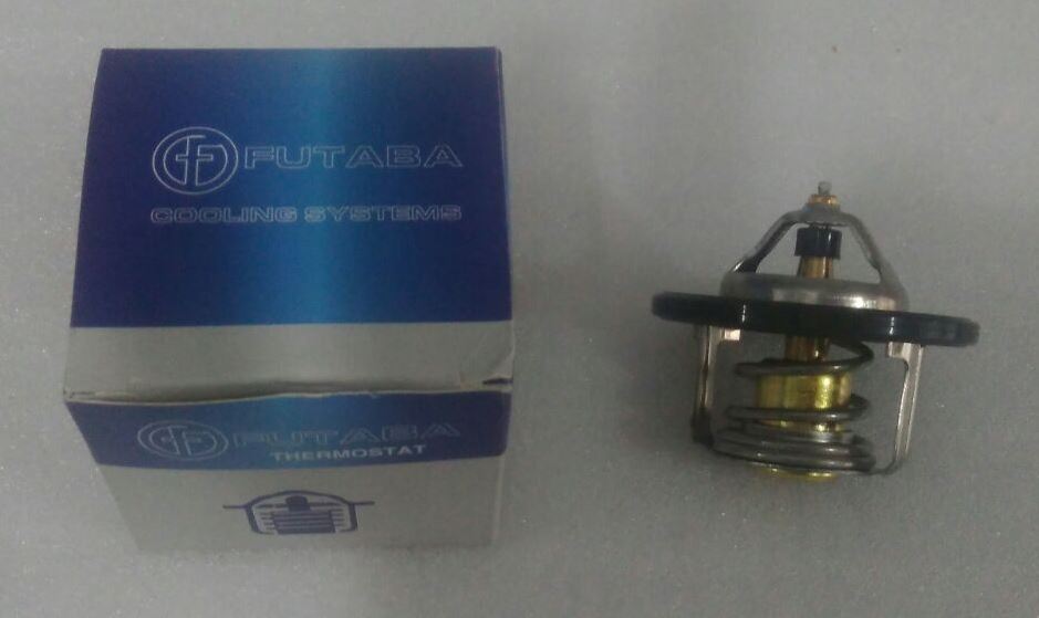 HYUNDAI ACCENT BLUE  BENZİNLİ MOTOR - TERMOSTAT