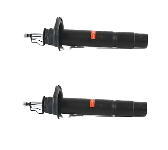 ÖN AMORTİSÖR SAĞ SOL TAKIM BMW F20 F30 F32 F36 (BSG)