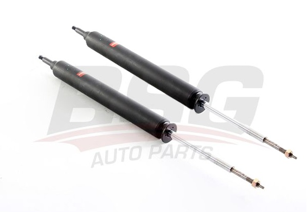 ARKA AMORTİSÖR SAĞ SOL TAKIM BMW X1 E84 KASA 2009-2015 (BSG)