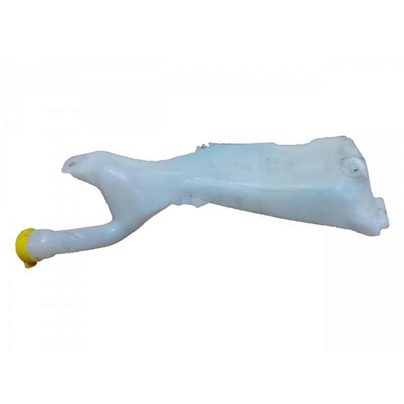 MAIS 289108311R CAM SU FISKIYE DEPOSU MEGANE IV